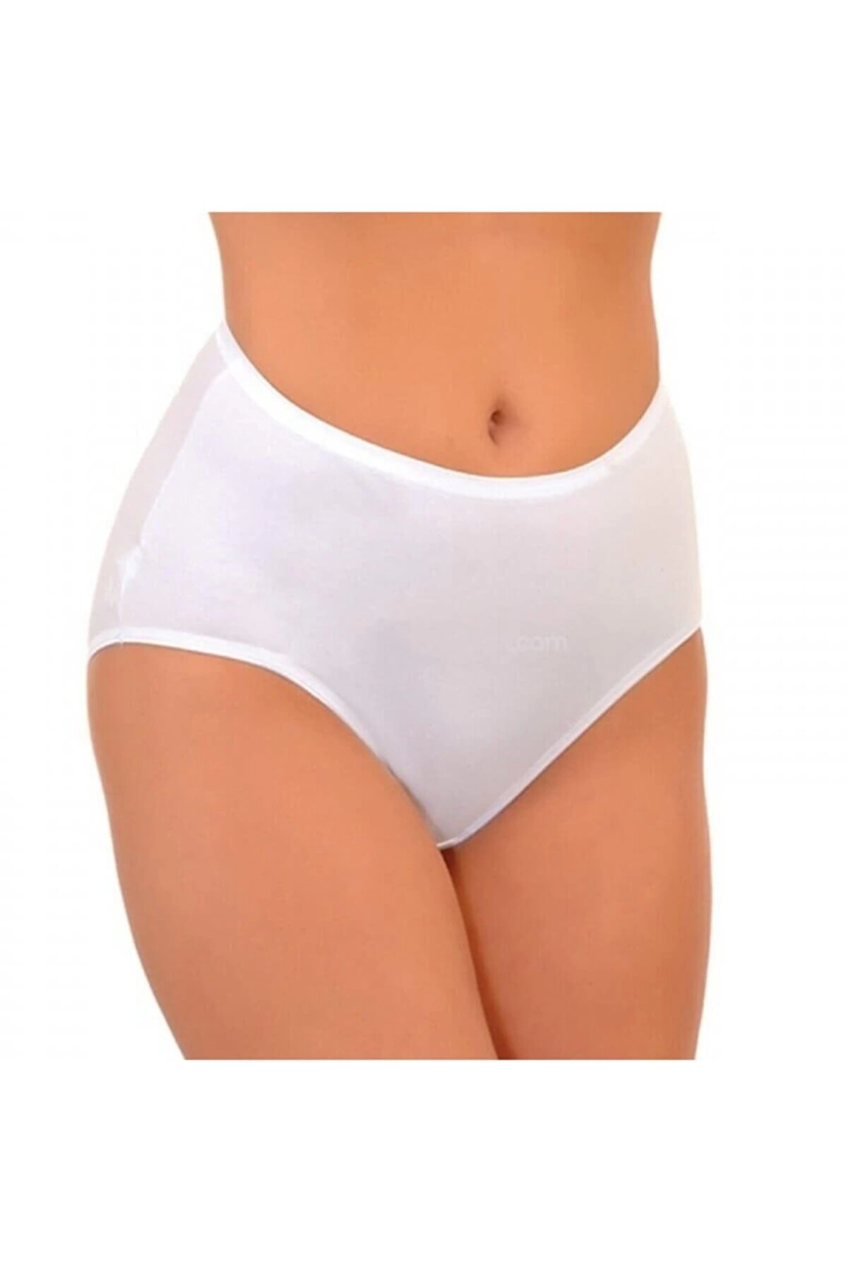 16252573269-97992468 Imer 122 Kadın Modal Süprem Külot - Görsel 1