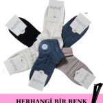 Farklı renklerdeki bambu patik çoraplar yay şeklinde sergilenmiş